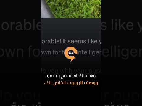 إنشاء بوت دردشة ChatGPT خاص بك مع OpenAI هو أسهل مما تعتقد|سوالف تك