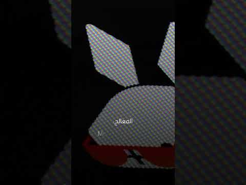 جهاز Rabbit R1 يغنيك عن الهاتف والتطبيقات|سوالف تك